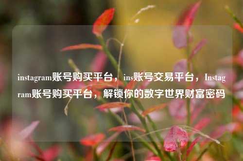 instagram账号购买平台，ins账号交易平台，Instagram账号购买平台，解锁你的数字世界财富密码