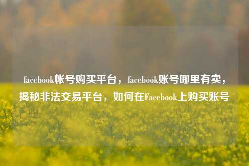 facebook帐号购买平台，facebook账号哪里有卖，揭秘非法交易平台	，如何在Facebook上购买账号  第1张