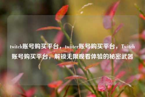 twitch账号购买平台，twiiter账号购买平台，Twitch账号购买平台，解锁无限观看体验的秘密武器
