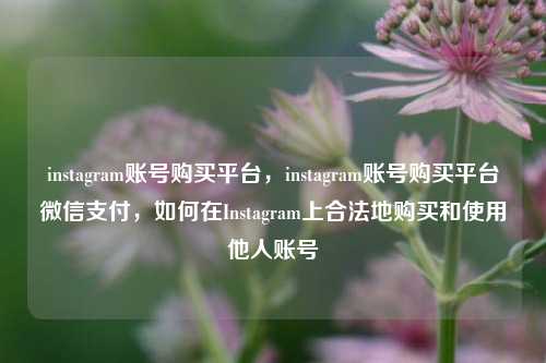instagram账号购买平台，instagram账号购买平台微信支付，如何在Instagram上合法地购买和使用他人账号