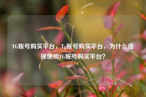 TG账号购买平台，Tg账号购买平台，为什么选择使用TG账号购买平台？