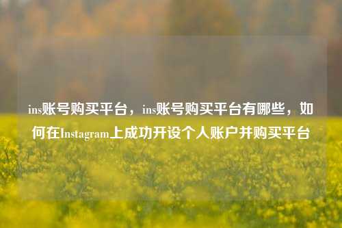 ins账号购买平台，ins账号购买平台有哪些，如何在Instagram上成功开设个人账户并购买平台