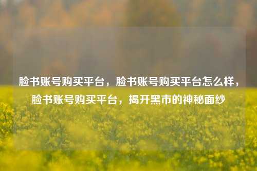 脸书账号购买平台，脸书账号购买平台怎么样，脸书账号购买平台，揭开黑市的神秘面纱
