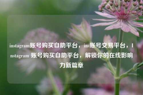 instagram账号购买自助平台，ins账号交易平台，Instagram 账号购买自助平台，解锁你的在线影响力新篇章