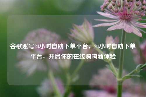 谷歌账号24小时自助下单平台，24小时自助下单平台，开启你的在线购物新体验