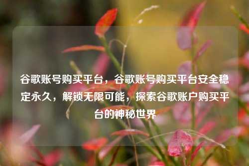 谷歌账号购买平台	，谷歌账号购买平台安全稳定永久，解锁无限可能，探索谷歌账户购买平台的神秘世界  第1张
