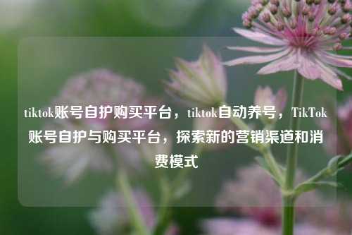 tiktok账号自护购买平台，tiktok自动养号，TikTok账号自护与购买平台，探索新的营销渠道和消费模式