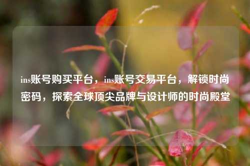 ins账号购买平台，ins账号交易平台，解锁时尚密码，探索全球顶尖品牌与设计师的时尚殿堂
