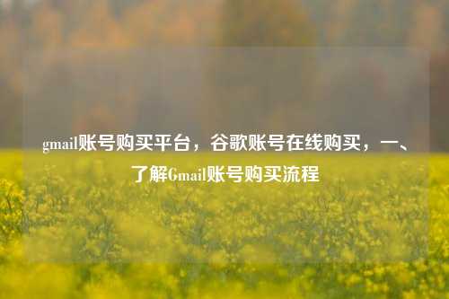 gmail账号购买平台，谷歌账号在线购买，一、了解Gmail账号购买流程