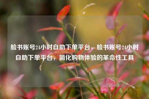 脸书账号24小时自助下单平台，脸书账号24小时自助下单平台，简化购物体验的革命性工具