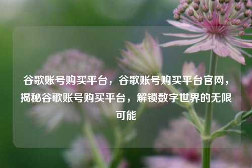谷歌账号购买平台，谷歌账号购买平台官网，揭秘谷歌账号购买平台，解锁数字世界的无限可能