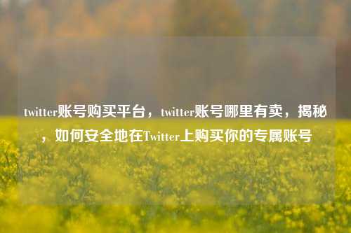 twitter账号购买平台，twitter账号哪里有卖，揭秘，如何安全地在Twitter上购买你的专属账号