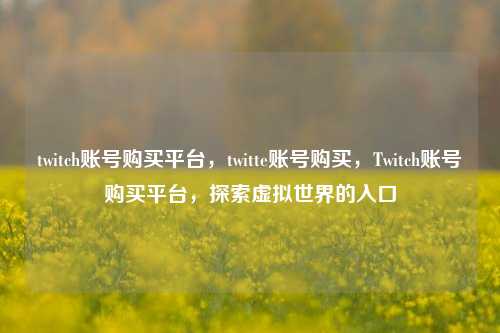twitch账号购买平台，twitte账号购买，Twitch账号购买平台，探索虚拟世界的入口