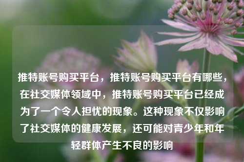 推特账号购买平台，推特账号购买平台有哪些，在社交媒体领域中，推特账号购买平台已经成为了一个令人担忧的现象。这种现象不仅影响了社交媒体的健康发展，还可能对青少年和年轻群体产生不良的影响